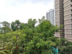 Blk 290B Spring View (Bukit Batok), HDB Executive #628785531